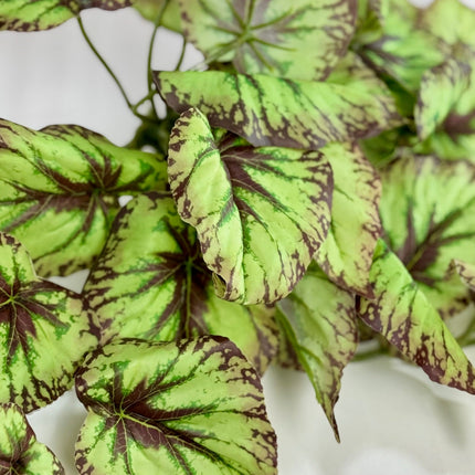 Collection image for: Verdeata artificiala