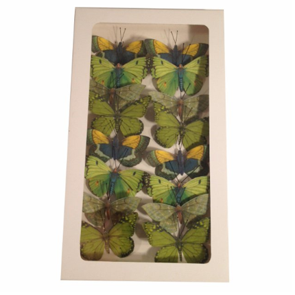 Collection image for: Accesorii de decor