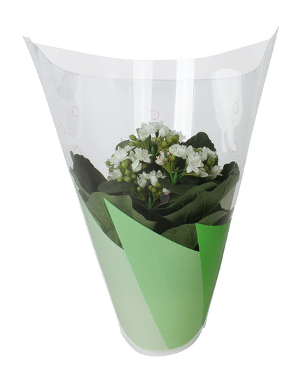 Sleeve 27x22x9cm ghivece S/50 verde