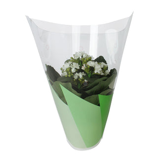 Sleeve 27x22x9cm ghivece S/50 verde