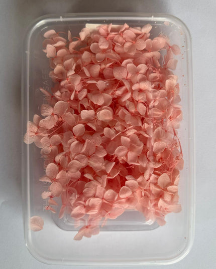 Flori uscate caserola 52