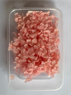 Flori uscate caserola 52