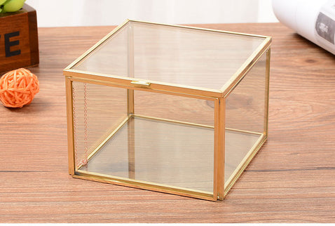 Terariu sticla no. 6 (10x10x7cm)