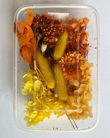 Flori uscate caserola 54
