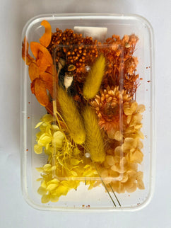Flori uscate caserola 54