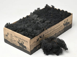 Licheni conservati Black 500G