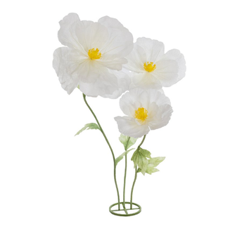 Flori gigant - Cosmos S/3 alb