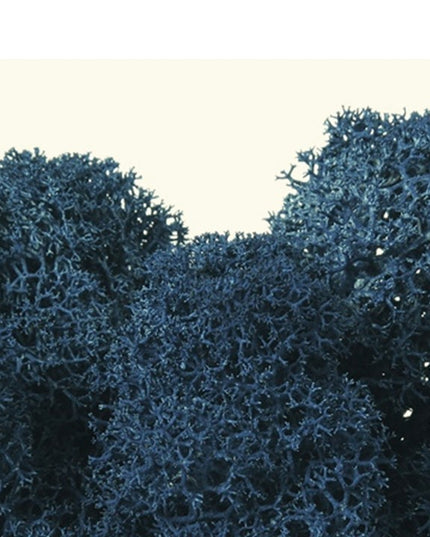 Licheni conservati Classic blue 500G