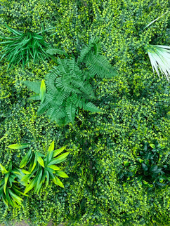 Panou cu verdeata artificiala 2 100x100cm