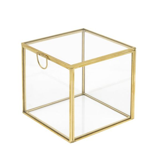 Terariu sticla 10X10X10CM