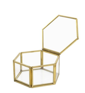 Terariu sticla 8X8X4cm