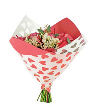 Sleeve 35x35cm clear hearts red