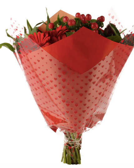 Sleeve 38x35x13cm hearts red