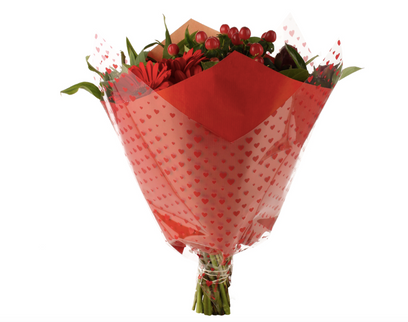 Sleeve 38x35x13cm hearts red