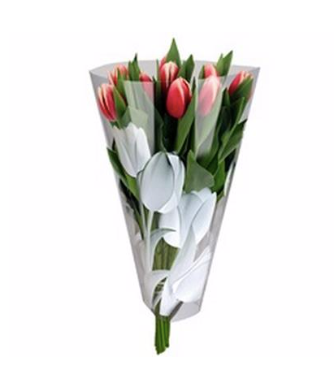 Sleeve 40x30x12cm lalele S/50