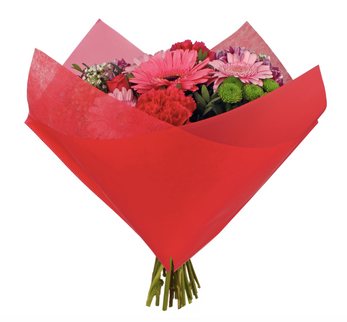 Sleeve 35x35cm frost red