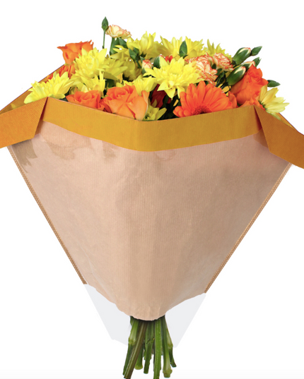 Sleeve 27x44½x11cm galben