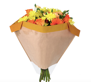 Sleeve 27x44½x11cm galben