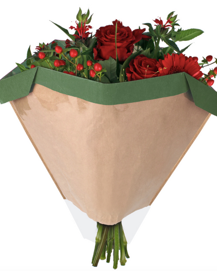 Sleeve 27x44½x11CM verde