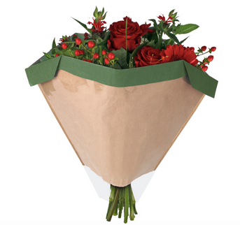 Sleeve 27x44½x11CM verde