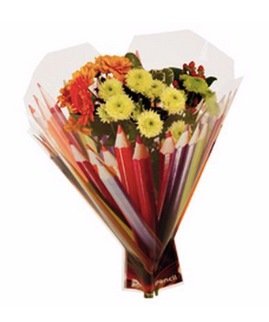 Sleeve 52x44x12cm creioane