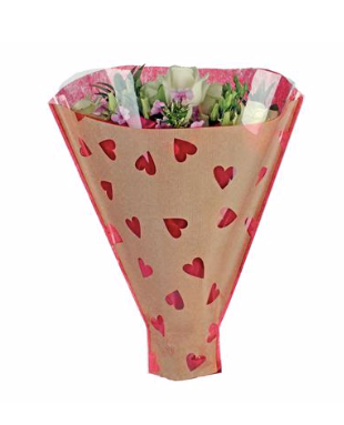 Sleeve 52x44x12cm sweetheart red