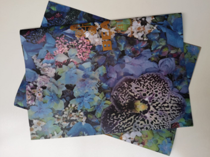 Ambalaj hartie de impachetat flori albastre