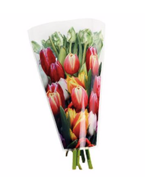 Sleeve 40x30x12cm lalele mix S/50