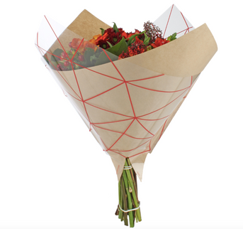 Sleeve 35x35cm diesel rosu