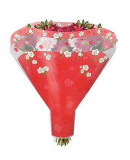 Sleeve 52x44x12cm happy red