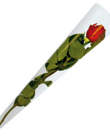 Sleeve 65x13x3cm transparent S/50