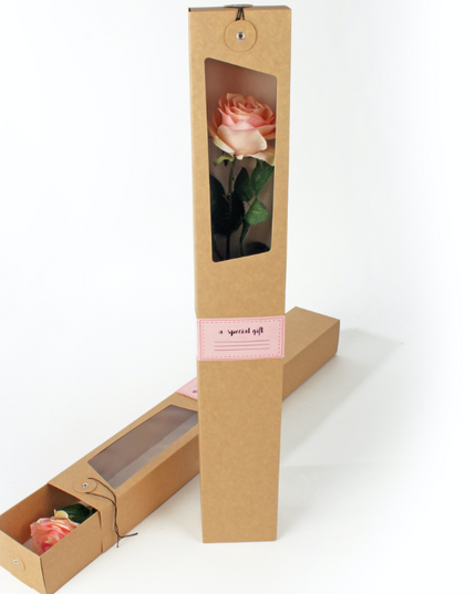 Punga carton 7X10X67.5cm