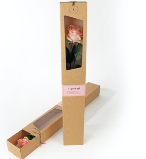 Punga carton 7X10X67.5cm