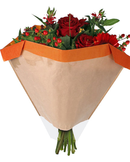 Sleeve 27x44½x11cm porto