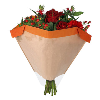 Sleeve 27x44½x11cm porto