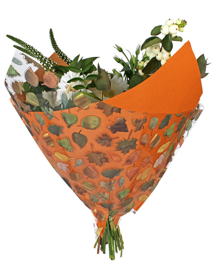 Sleeve 35x35cm toamna porto