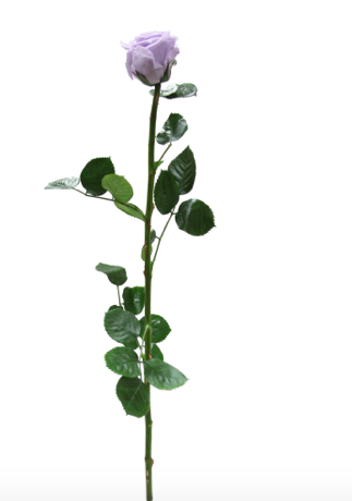 Trandafir criogenat tija 45cm Ø5cm vrac lila