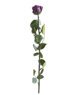 Trandafir criogenat tija 45cm Ø5cm vrac mov inchis