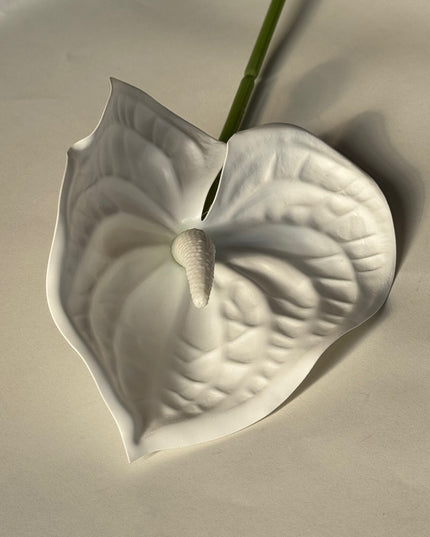 Anthurium artificial alb