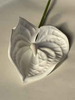 Anthurium artificial alb