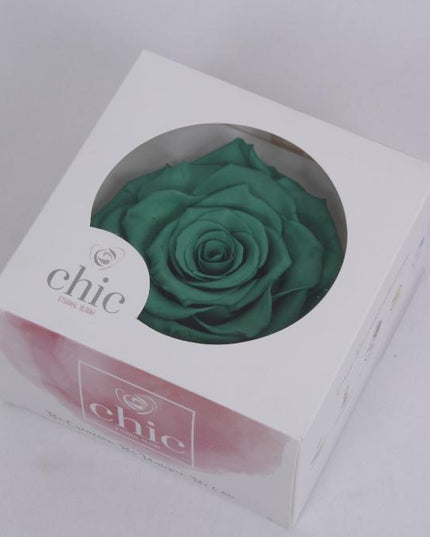 Trandafir criogenat Ø12cm aqua turquoise