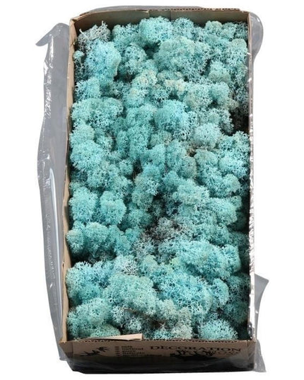 Licheni conservati Aquamarin 500G