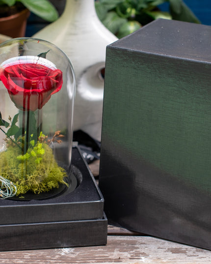 Aranjament trandafir criogenat 2 led+giftbox