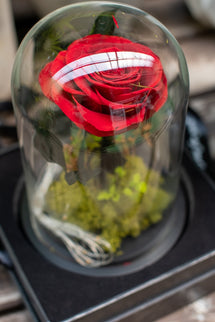 Aranjament trandafir criogenat 2 led+giftbox