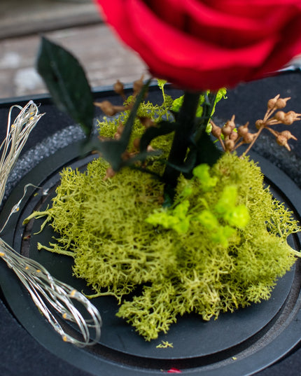 Aranjament trandafir criogenat 2 led+giftbox