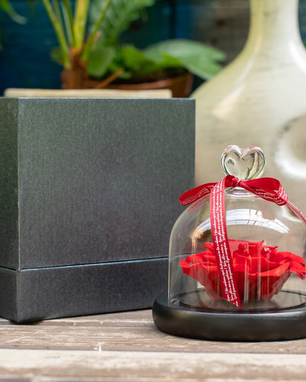 Aranjament trandafir criogenat 4+ giftbox