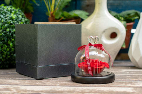 Aranjament trandafir criogenat 4+ giftbox