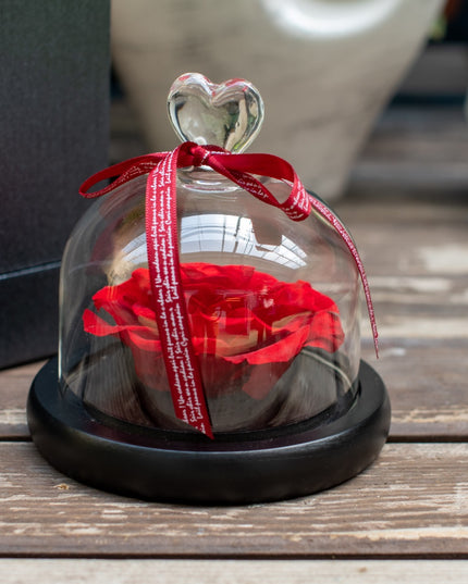 Aranjament trandafir criogenat 4+ giftbox