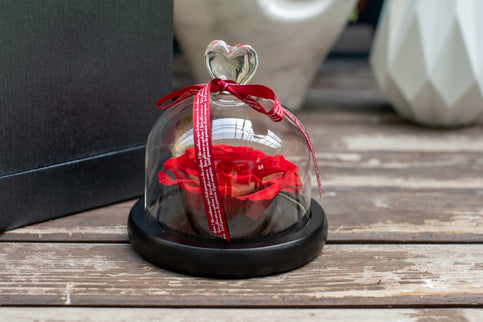 Aranjament trandafir criogenat 4+ giftbox