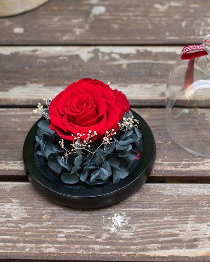 Aranjament trandafir criogenat 5+ giftbox